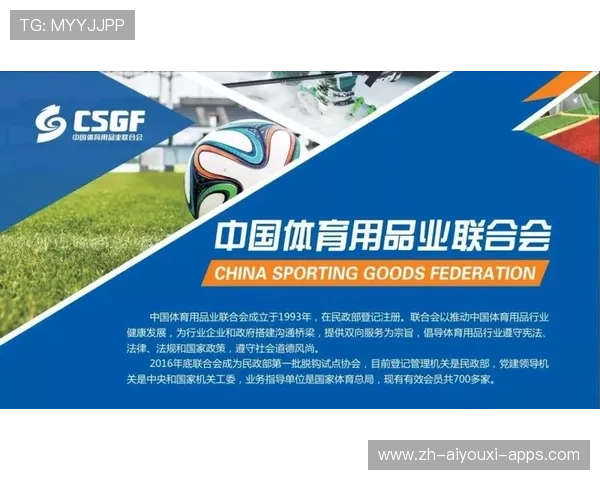 服务体育培训模式评价标准内容建设发布平台,体育服务体系