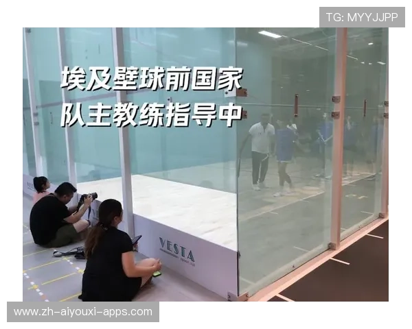 国际壁球巡回赛奖金分配变动，壁球 国家队
